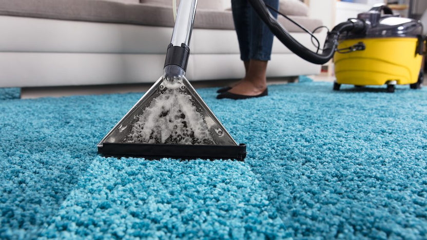 Best HD Pictures about  Real Pics Carpet Cleaning Manhattan Ks Amazing  - No AI Images