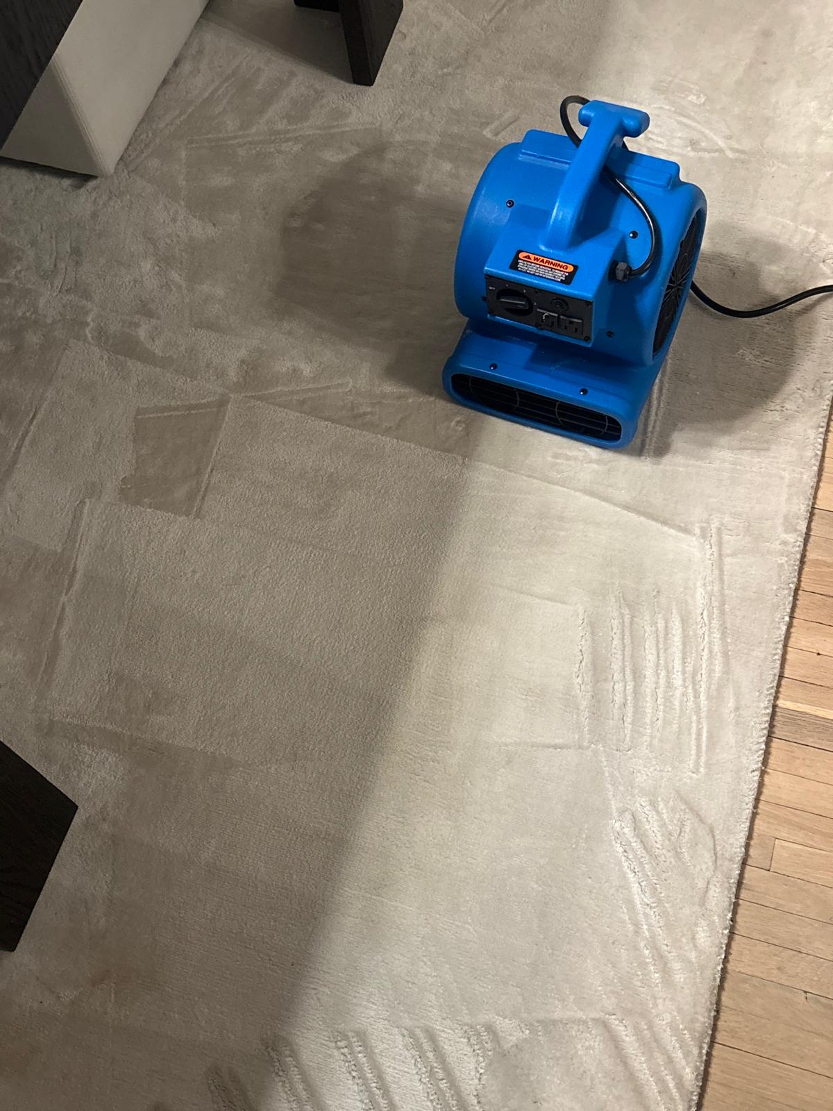 Deep Cleaning