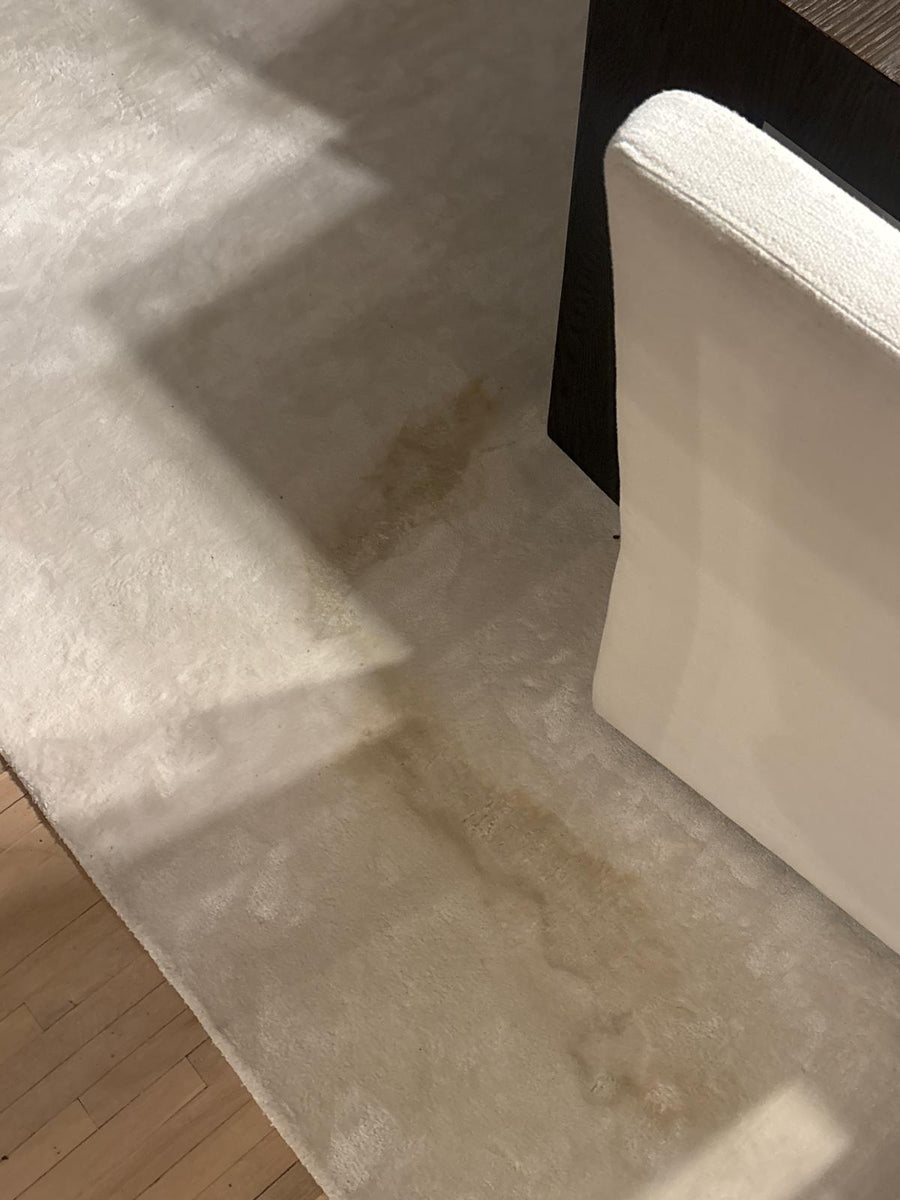 Carpet Wall to Wall